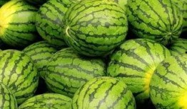 吃瓜每日大赛 吃瓜 吃瓜爆料大赛每日聚集地,揭秘“吃瓜每日大赛”的火爆聚集地